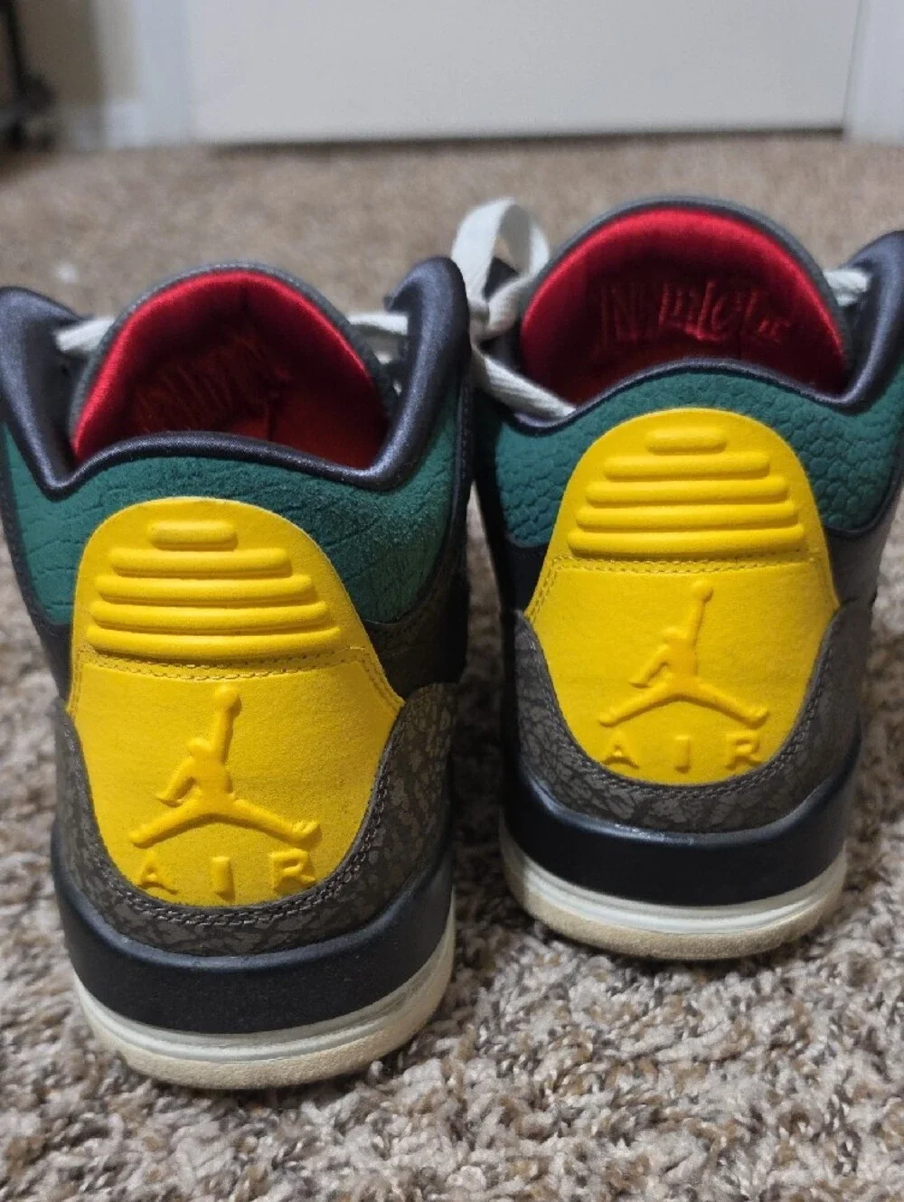Jordan 3 Animal Instinct